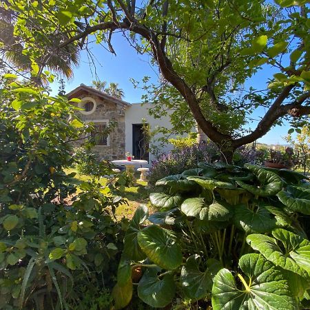 "Giardino Fiorito" Villa Gizzeria Exterior photo