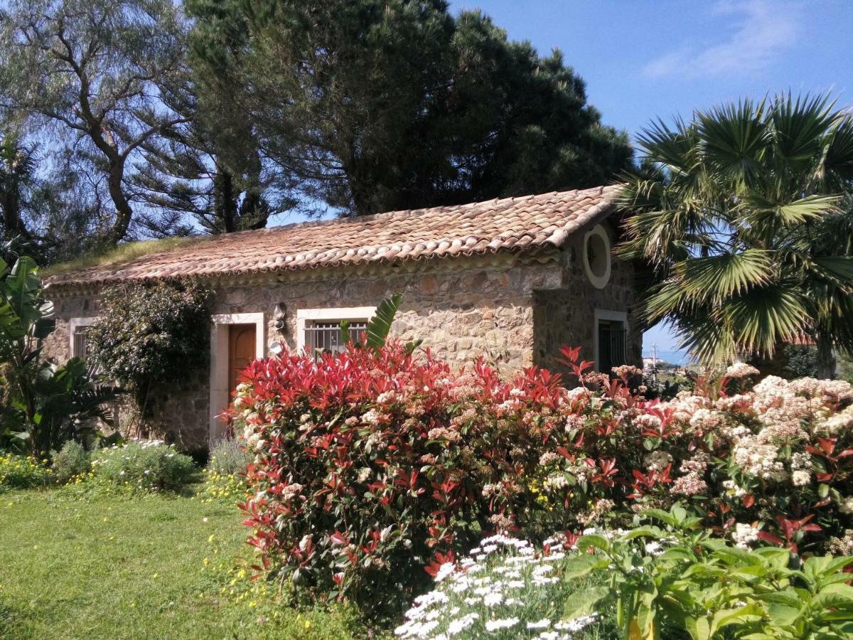 "Giardino Fiorito" Villa Gizzeria Exterior photo